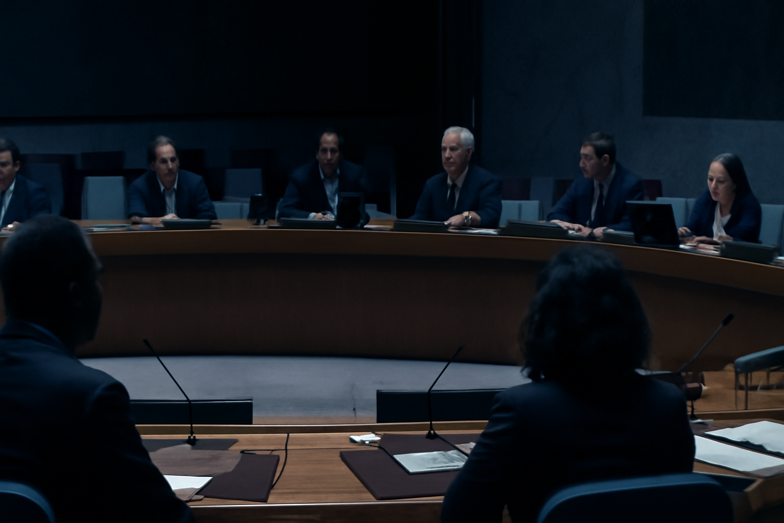 Technical Consultation: AI Inclusion and Cyber Operations And AI